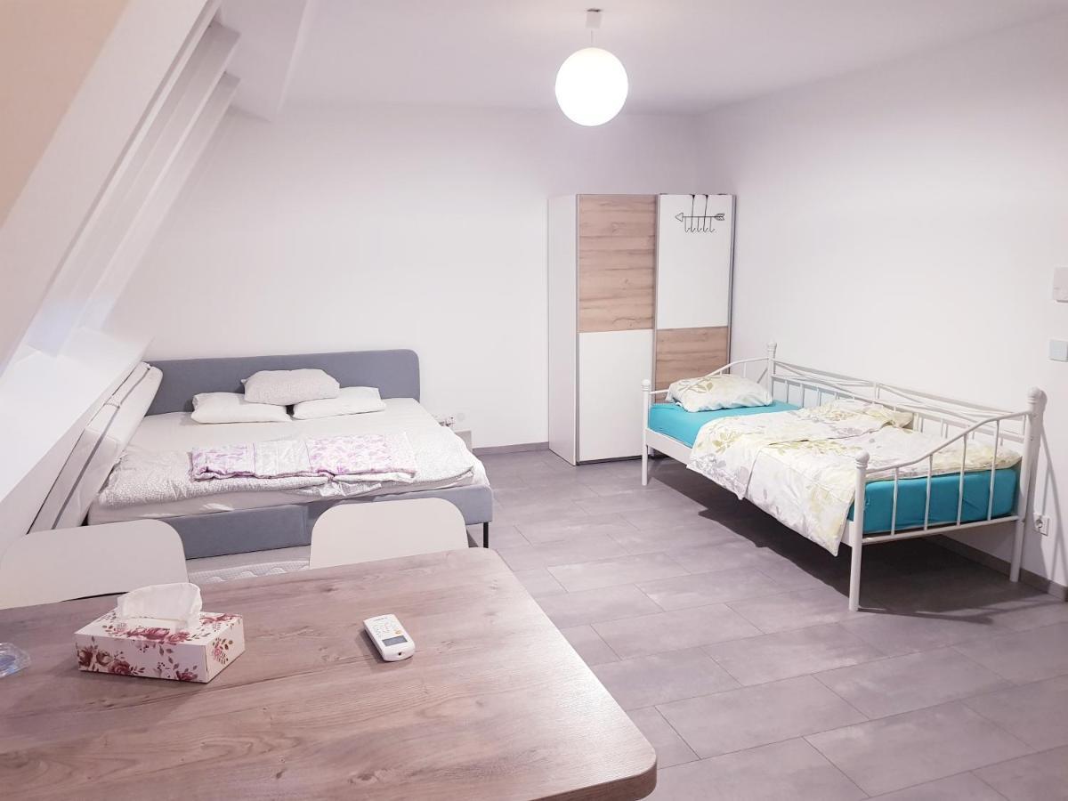 Tota Studio Vienna Luaran gambar